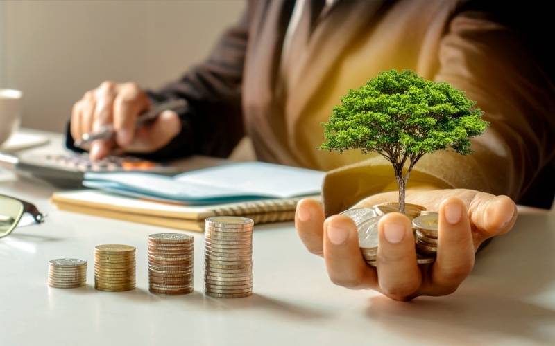 Concept of Investment Growing Tree, Investment Scam